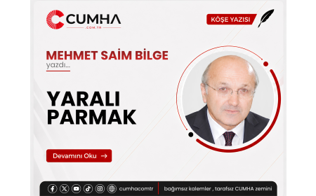 YARALI PARMAK