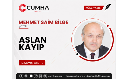 ASLAN KAYIP
