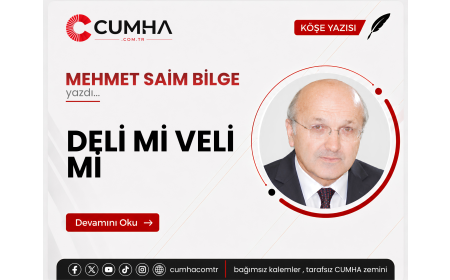 DELİ Mİ VELİ Mİ