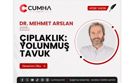 ÇIPLAKLIK: YOLUNMUŞ TAVUK