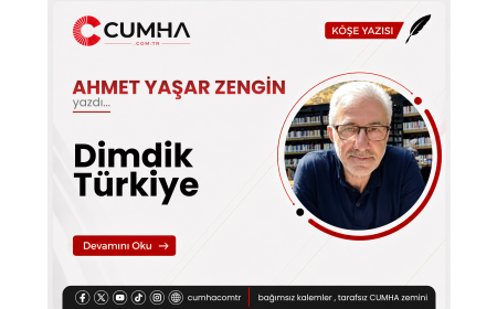 Dimdik Türkiye