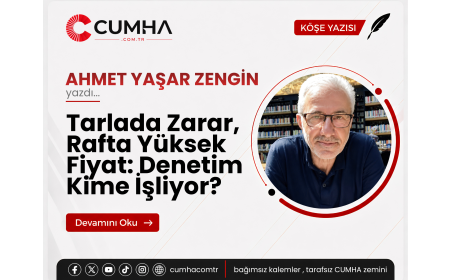Tarlada Zarar, Rafta Yüksek Fiyat: Denetim Kime İşliyor?