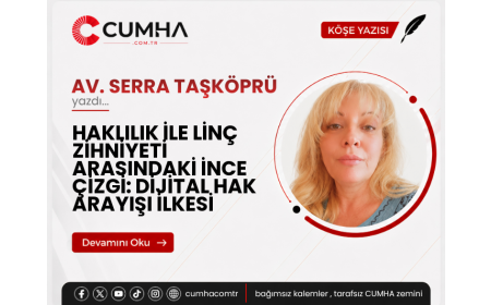 HAKLILIK İLE LİNÇ ZİHNİYETİ ARASINDAKİ İNCE ÇİZGİ: DİJİTAL HAK ARAYIŞI İLKESİ
