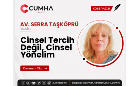 Cinsel Tercih Değil, Cinsel Yönelim