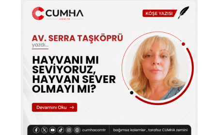 HAYVANI MI SEVİYORUZ, HAYVAN SEVER OLMAYI MI?