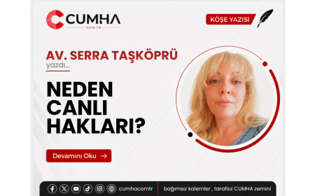 NEDEN CANLI HAKLARI?