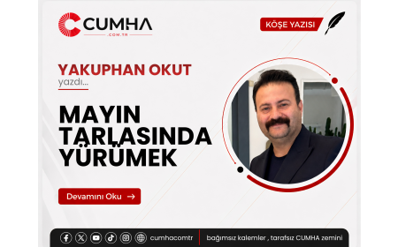 MAYIN TARLASINDA YÜRÜMEK
