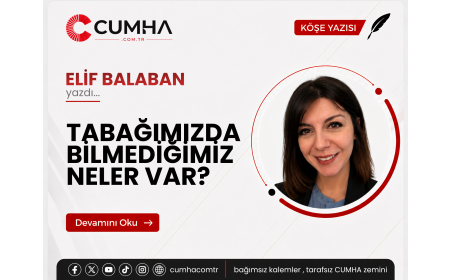 TABAĞIMIZDA BİLMEDİĞİMİZ NELER VAR?