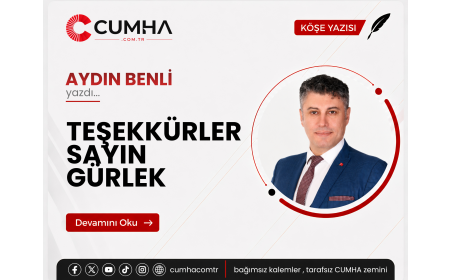 TEŞEKKÜRLER SAYIN GÜRLEK