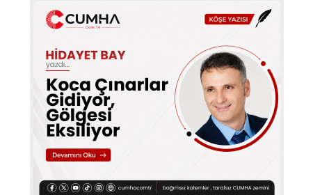 Koca Çınarlar Gidiyor, Gölgesi Eksiliyor