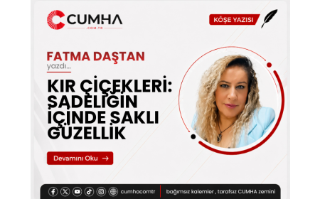KIR ÇİÇEKLERİ: SADELİĞİN İÇİNDE SAKLI GÜZELLİK