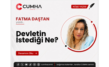 Devletin İstediği Ne?