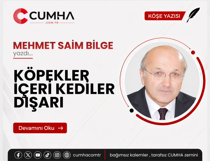 KÖPEKLER İÇERİ KEDİLER DIŞARI