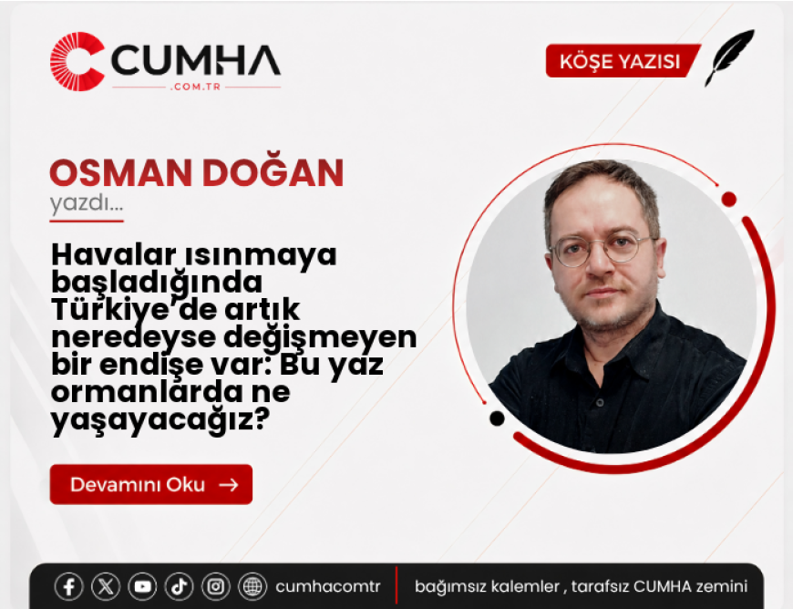 Havalar ısınmaya başladığında Türkiye’de artık neredeyse değişmeyen bir endişe var: Bu yaz ormanlarda ne yaşayacağız?