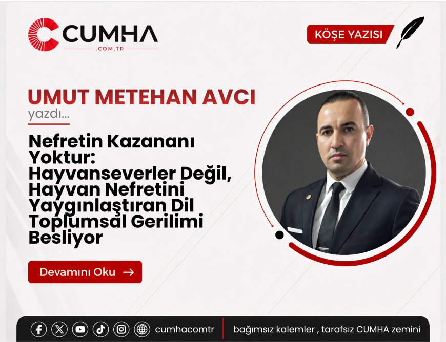 Nefretin Kazananı Yoktur: Hayvanseverler Değil, Hayvan Nefretini Yaygınlaştıran Dil Toplumsal Gerilimi Besliyor