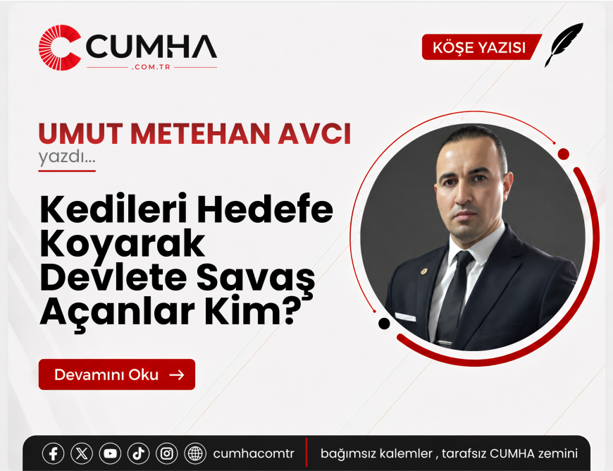 Kedileri Hedefe Koyarak Devlete Savaş Açanlar Kim?
