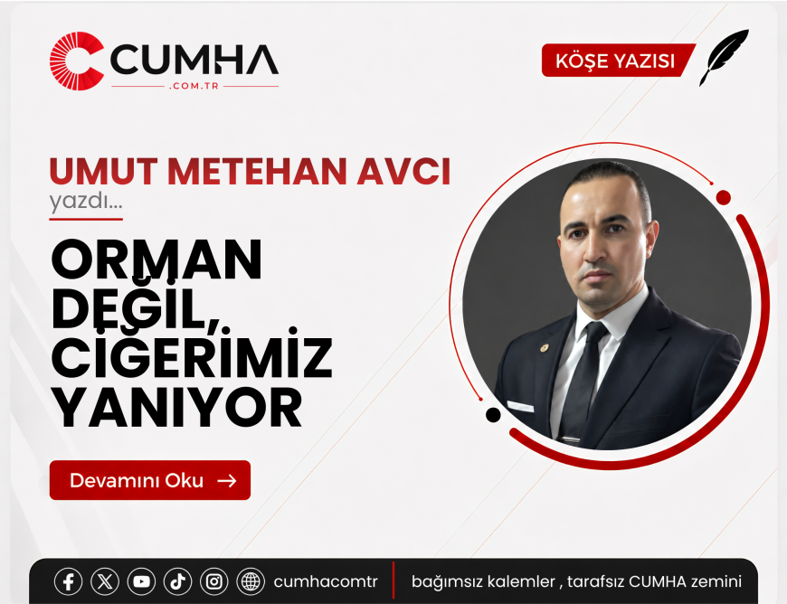 ORMAN DEĞİL, CİĞERİMİZ YANIYOR