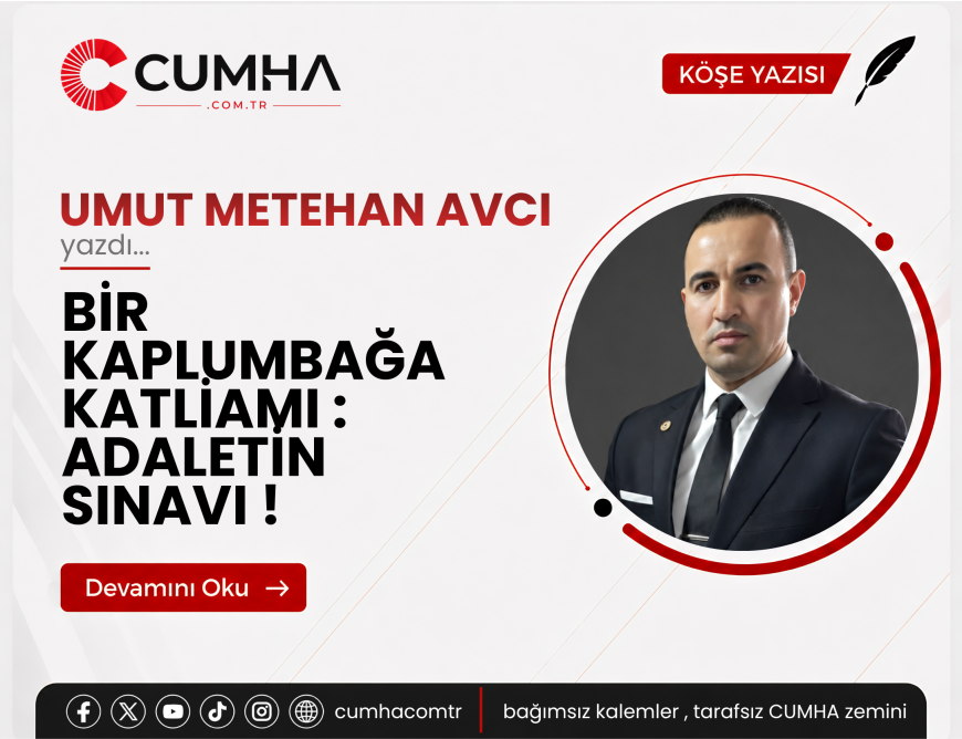 BİR KAPLUMBAĞA KATLİAMI : ADALETİN SINAVI !
