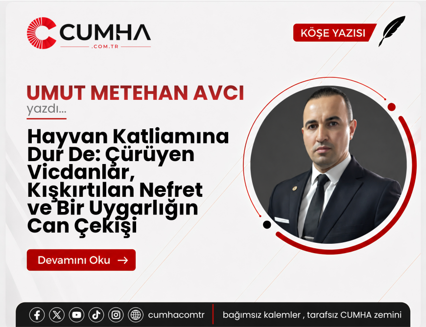 Hayvan Katliamına Dur De: Çürüyen Vicdanlar, Kışkırtılan Nefret ve Bir Uygarlığın Can Çekişi
