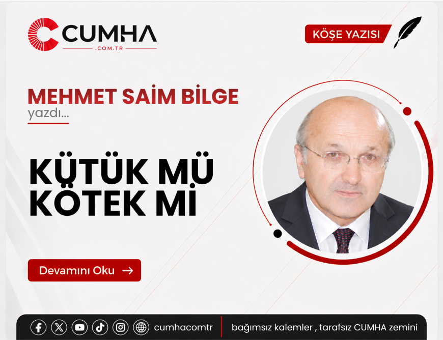 KÜTÜK MÜ KÖTEK Mİ