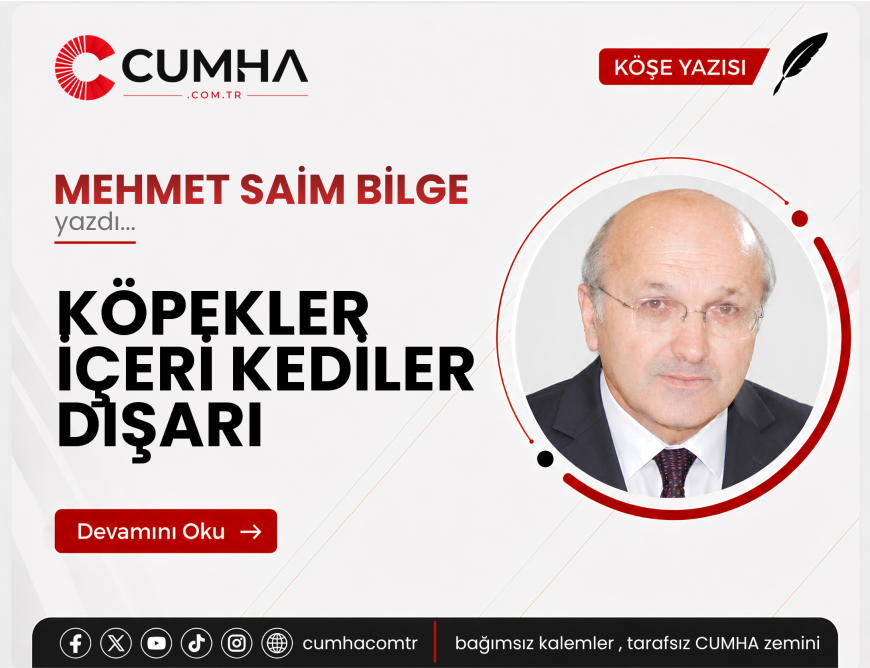 KÖPEKLER İÇERİ KEDİLER DIŞARI