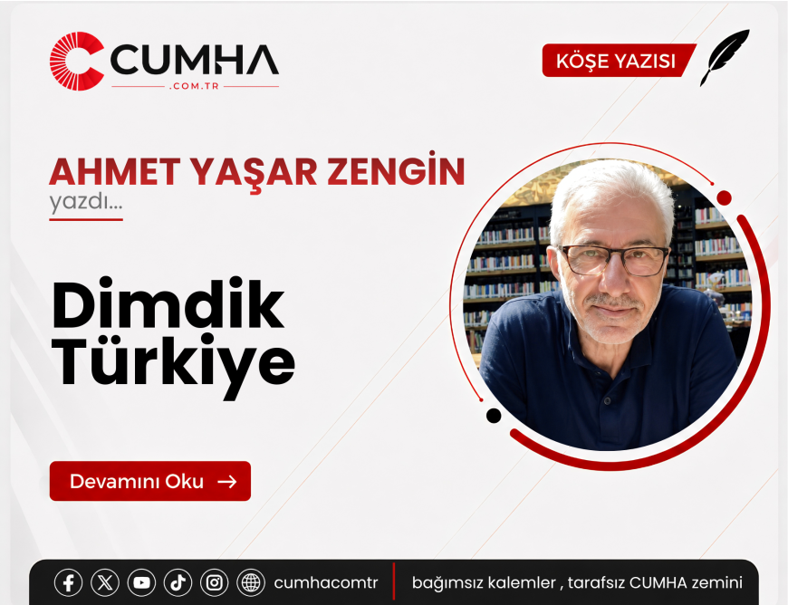 Dimdik Türkiye